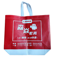 海口LB37培训班广告袋